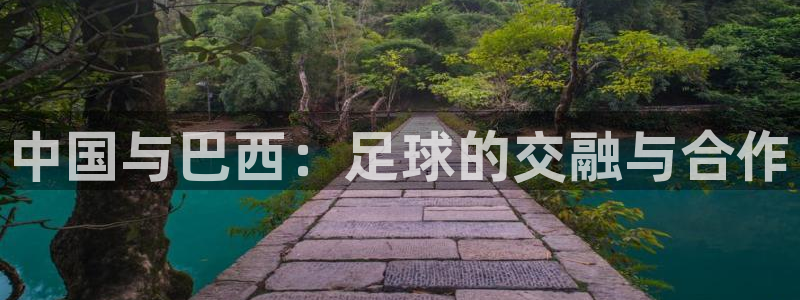 世界杯足球:中国与巴西:足球的交融与合作