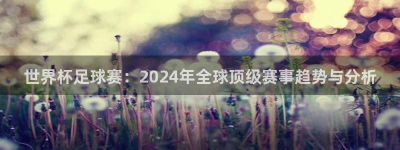 世界杯预赛赛程：世界杯足球赛：2024年全球顶级赛事趋势与分析