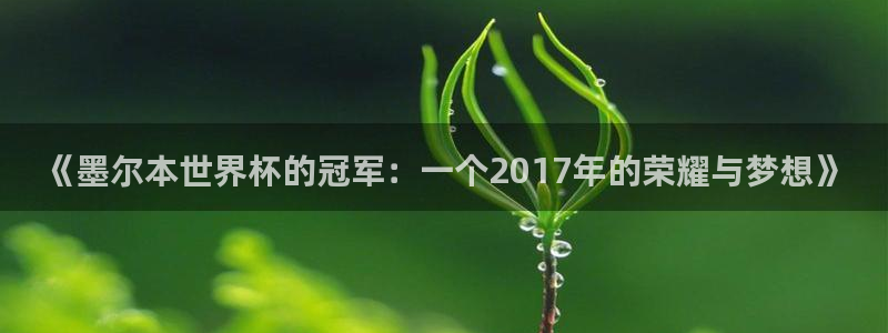 2026世界杯欧洲预选赛赛程表：《墨尔本世界杯的冠军：一个2017年的荣耀与梦想》