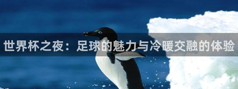 葡萄牙世界杯赛程：世界杯之夜：足球的魅力与冷暖交融的体验