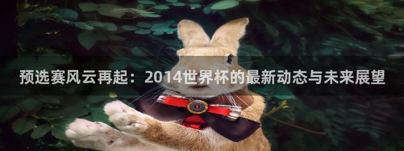 世界杯亚洲预选赛18强赛程：预选赛风云再起：2014世界杯的最新动态与未来展望