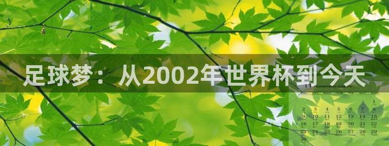 世界杯：足球梦：从2002年世界杯到今天