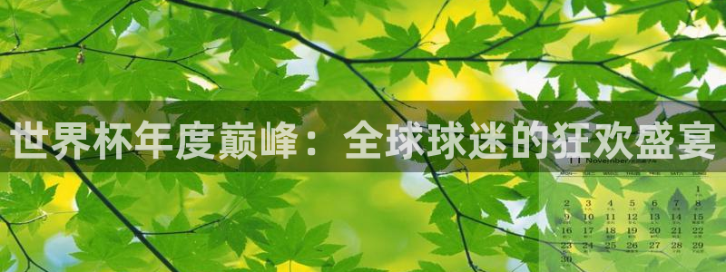 2026年世界杯：世界杯年度巅峰：全球球迷的狂欢盛宴