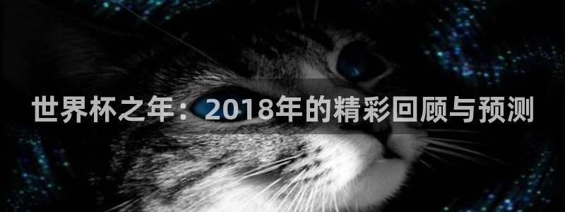 世界杯2026赛制：世界杯之年：2018年的精彩回顾与预测
