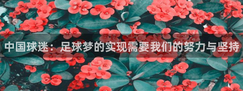 2026世界杯赛程表完整版：中国球迷：足球梦的实现需要我们的努力与坚持