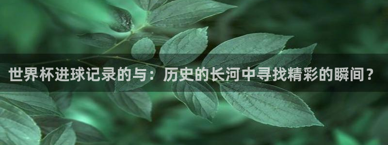 足球世界杯时间：世界杯进球记录的与：历史的长河中寻找精彩的瞬间？