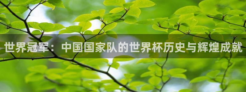 足球世界杯时间：世界冠军：中国国家队的世界杯历史与辉煌成就