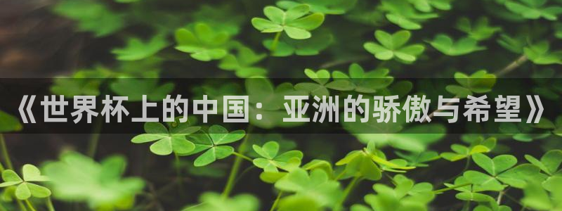 世界杯预选赛亚洲区积分榜：《世界杯上的中国：亚洲的骄傲与希望》