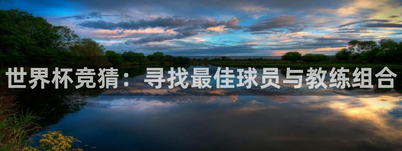 2026年世界杯：世界杯竞猜：寻找最佳球员与教练组合
