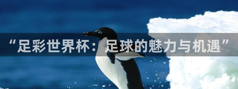 世界杯比赛：“足彩世界杯：足球的魅力与机遇”