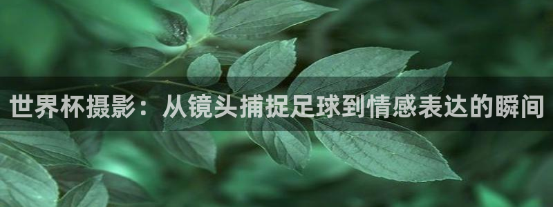 足球世界杯预选赛：世界杯摄影：从镜头捕捉足球到情感表达的瞬间